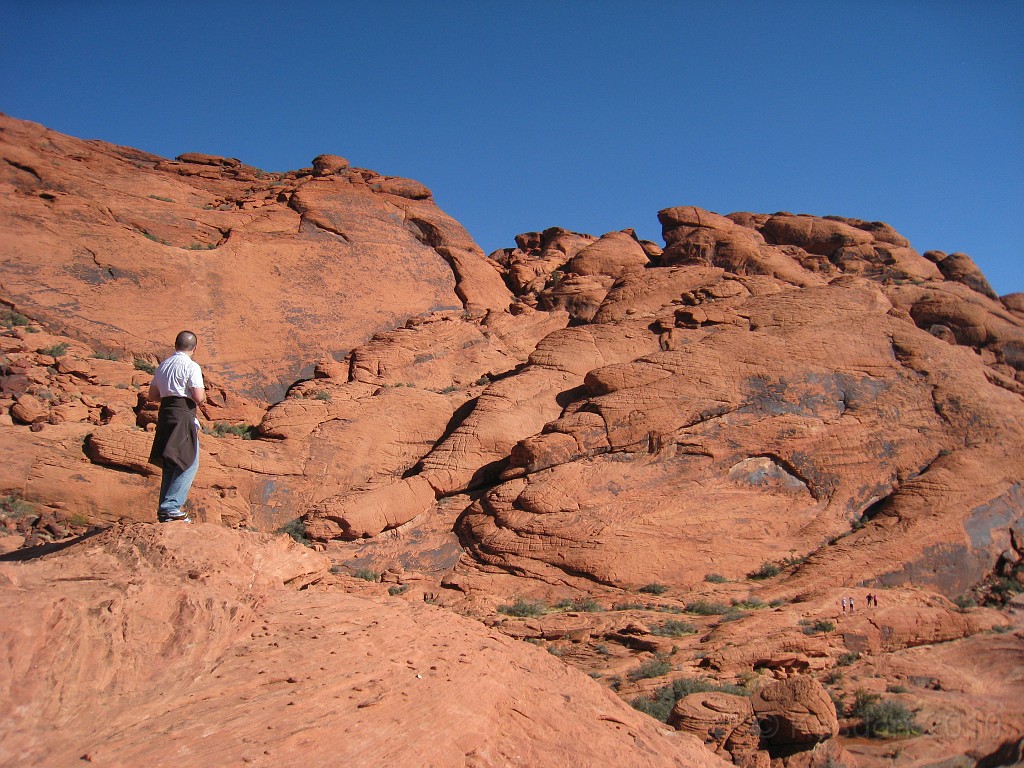 Las Vegas 2010 - Red Rock 0561.JPG - The 2010 Las Vegas Fire - Ice and Sweat Tour. Half Marathon, Red Rock Canyon, Casinos, Valley of Fire.... and buffets!